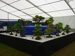 AFS 2016 16.JPG